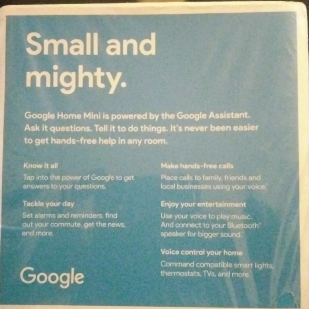 Google Home Mini